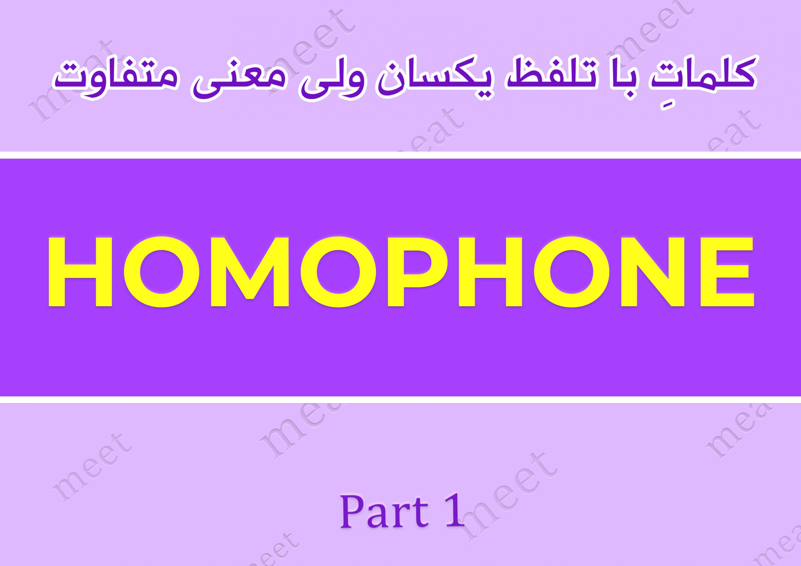 کلمات انگلیسی با تلفظ یکسان و معنی متفاوت | homophones هوموفون چیست و چه کاربردی دارد؟ فرق meet و meat