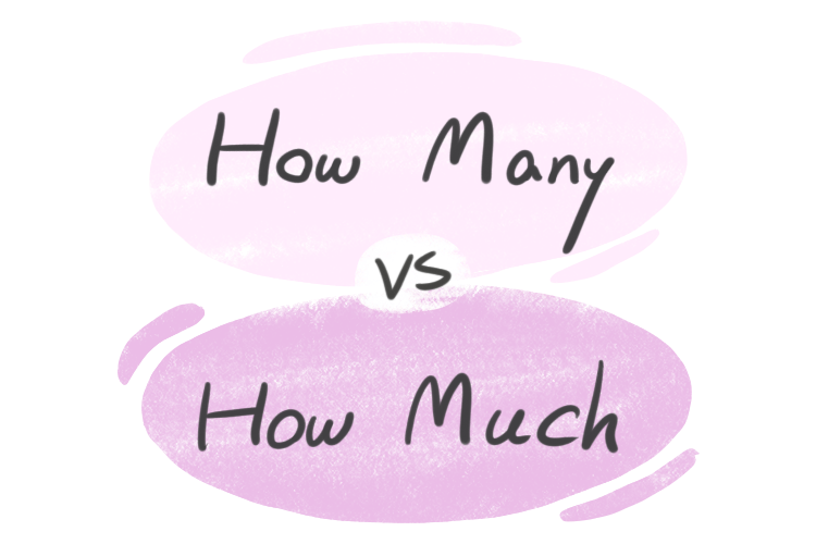 how-many-vs-how-much-