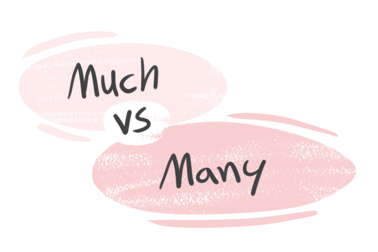 many vs much